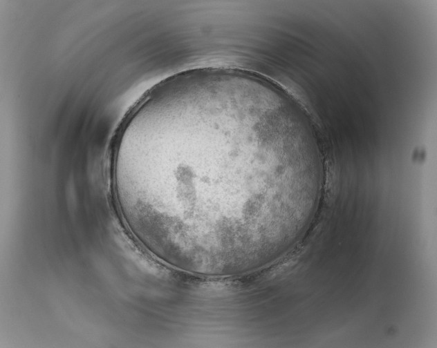 X0000113591078200910021711