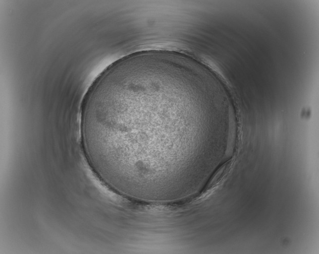 X0000113591079200910021711