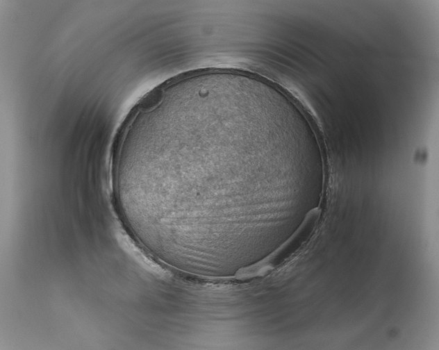 X0000113591080200910021711