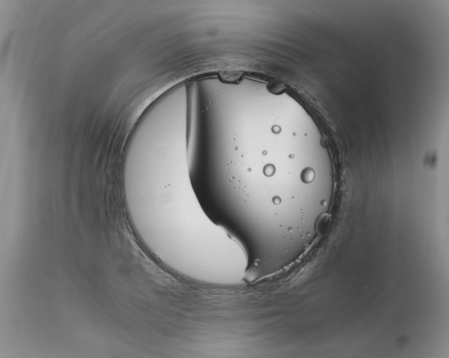 X0000113591081200910021711