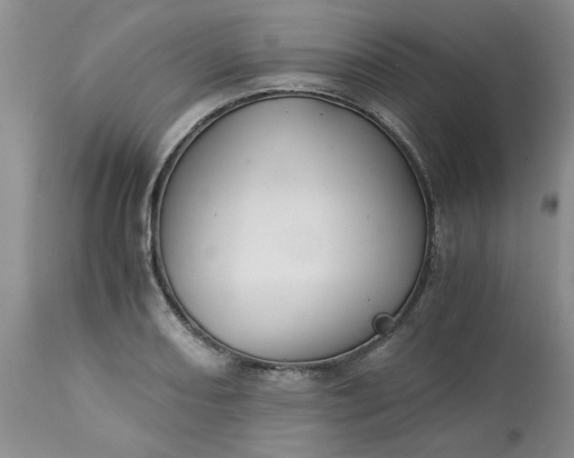 X0000113591082200910021711