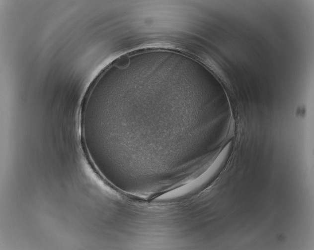 X0000113591084200910021711