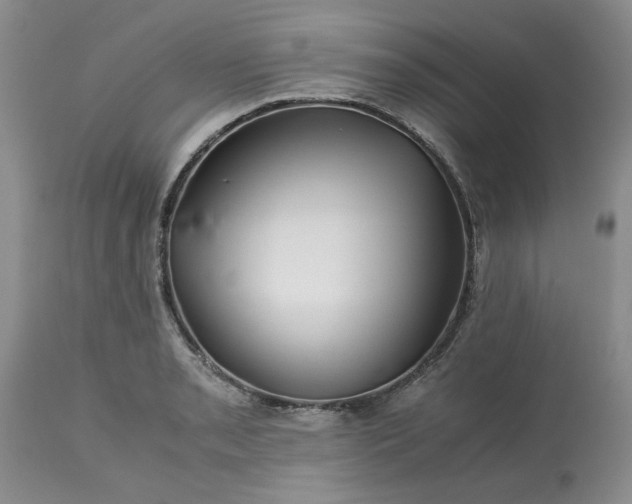 X0000113591085200910021711