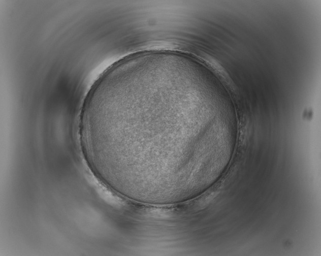 X0000113591086200910021711