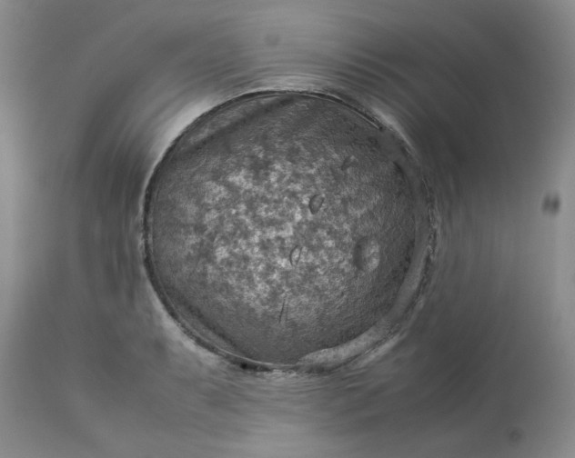 X0000113591087200910021711