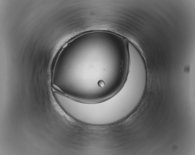 X0000113591088200910021711