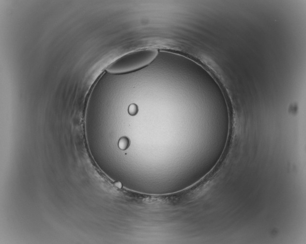 X0000113591089200910021711