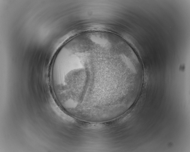 X0000113591090200910021711