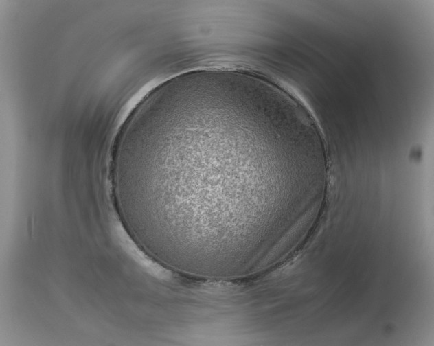 X0000113591091200910021711