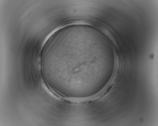 X0000113591092200910021711