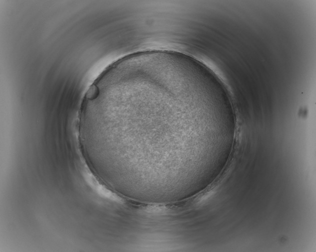 X0000113591094200910021711