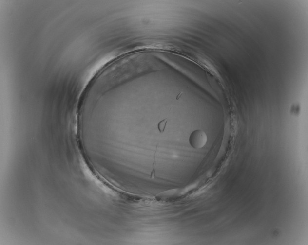 X0000113591095200910021711