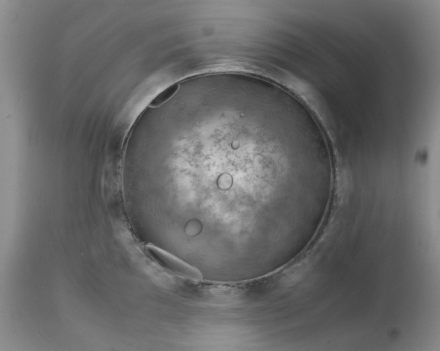 X0000113591097200910021711