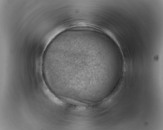 X0000113591098200910021711