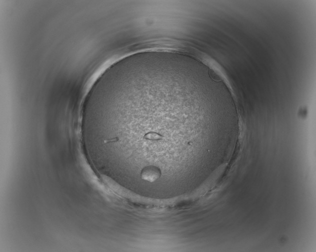 X0000113591099200910021711