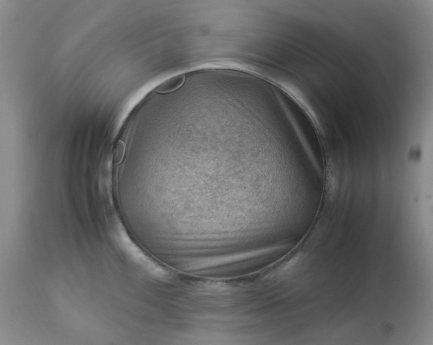 X0000113591100200910021711