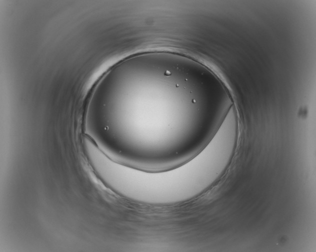 X0000113591101200910021711