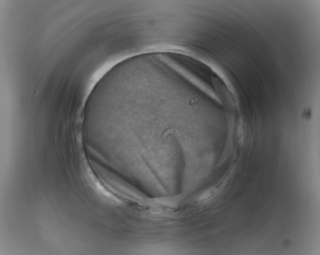 X0000113591102200910021711