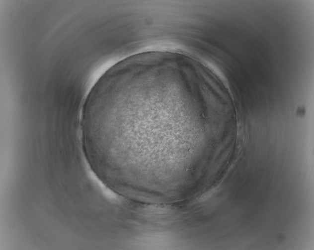 X0000113591103200910021711