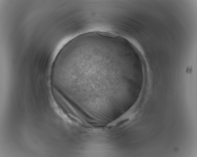 X0000113591104200910021711