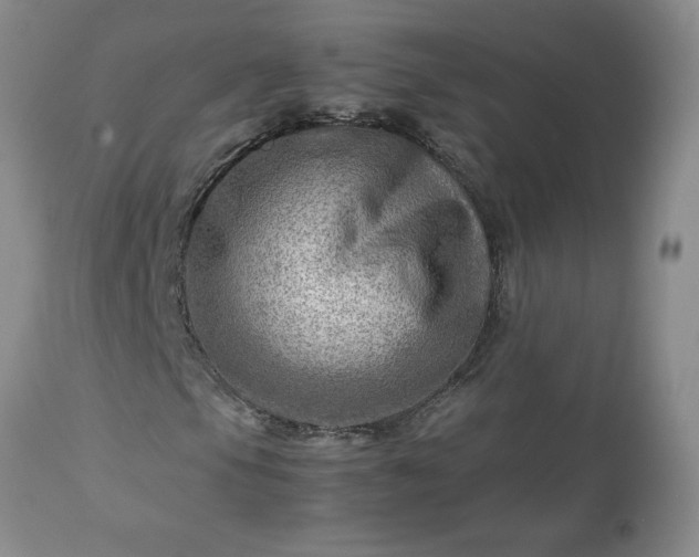 X0000113591105200910021710