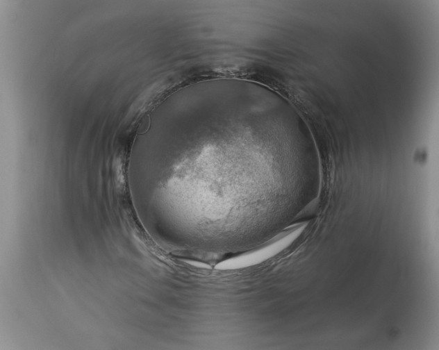 X0000113591106200910021710