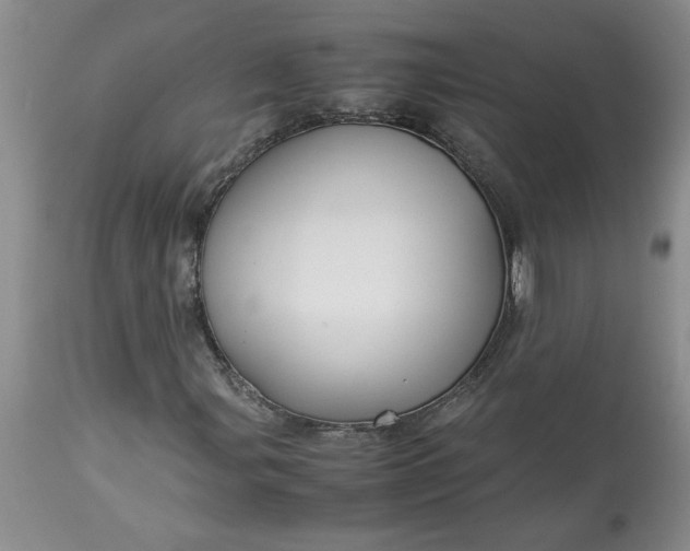 X0000113591107200910021710