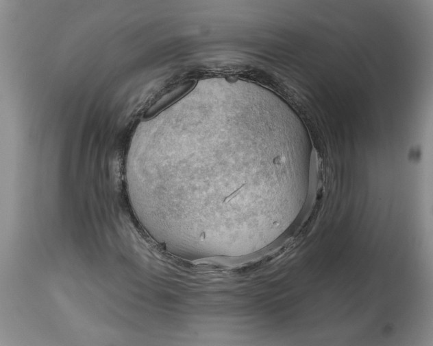 X0000113591108200910021710