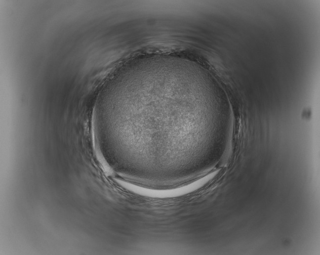 X0000113591109200910021710