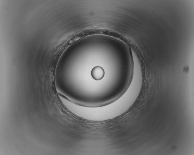 X0000113591110200910021710