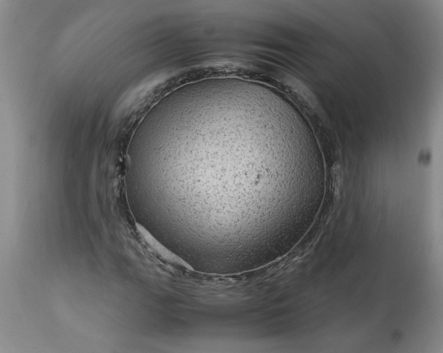 X0000113591111200910021710