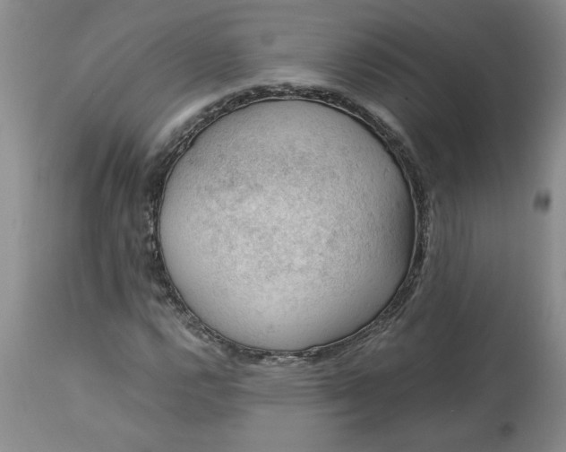 X0000113591112200910021710