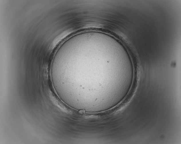 X0000113591113200910021710