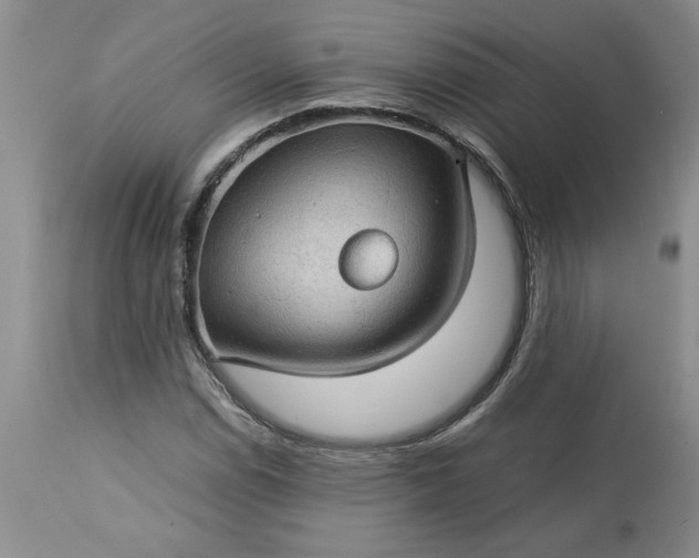 X0000113591114200910021710