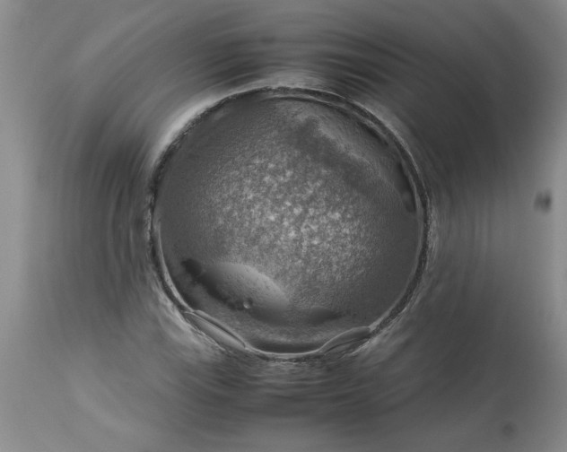 X0000113591115200910021710