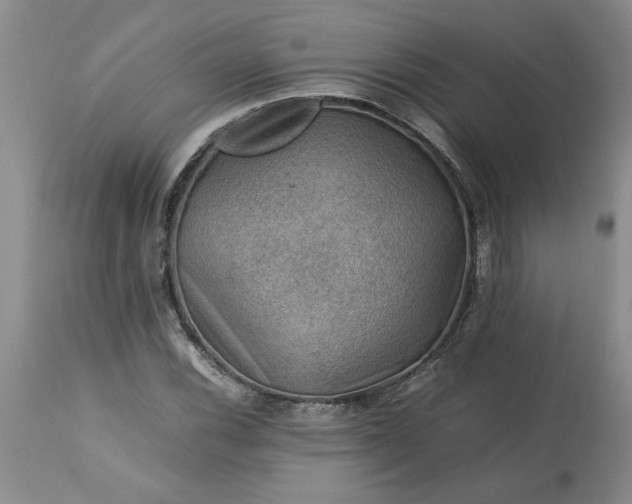 X0000113591116200910021710