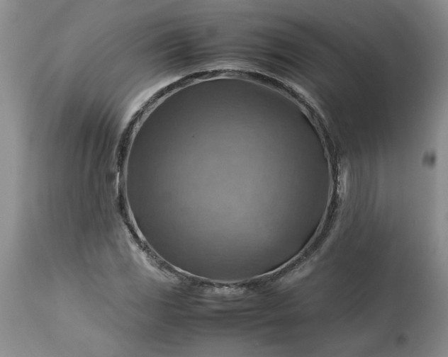 X0000113591117200910021710