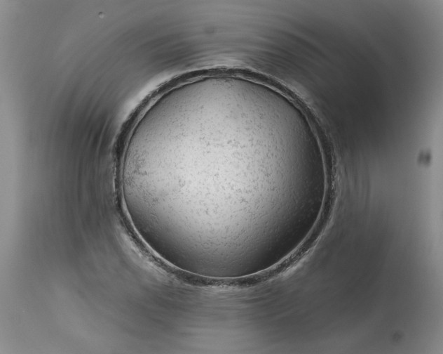 X0000113591118200910021710