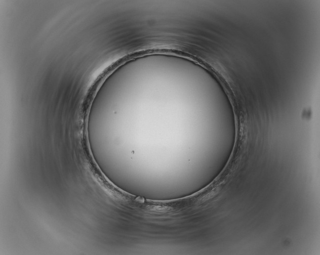 X0000113591119200910021710