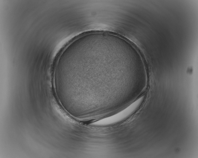 X0000113591120200910021710