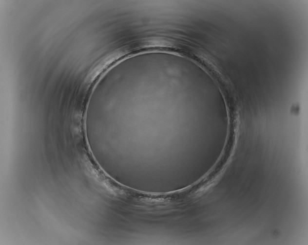 X0000113591121200910021710