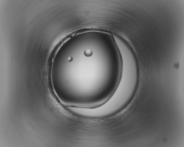 X0000113591122200910021710