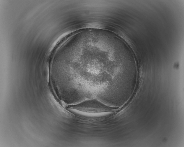 X0000113591123200910021710