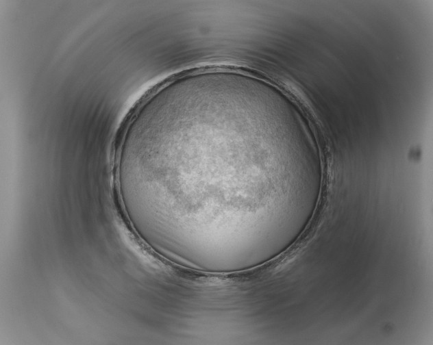 X0000113591124200910021710