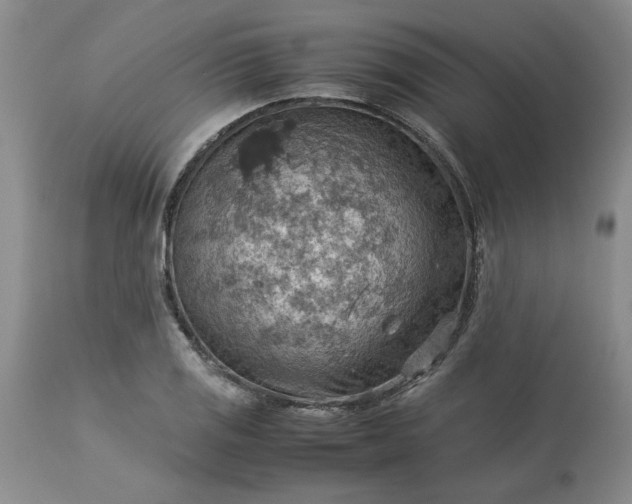 X0000113591125200910021710