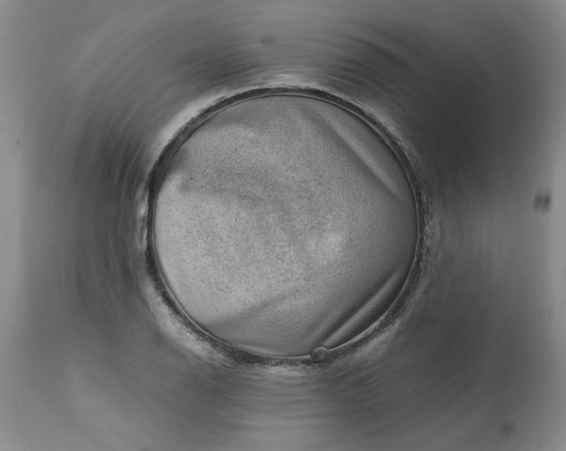 X0000113591126200910021710