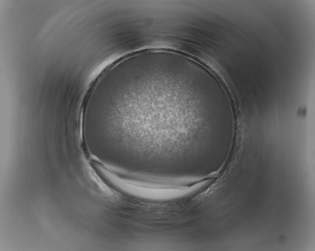 X0000113591127200910021710