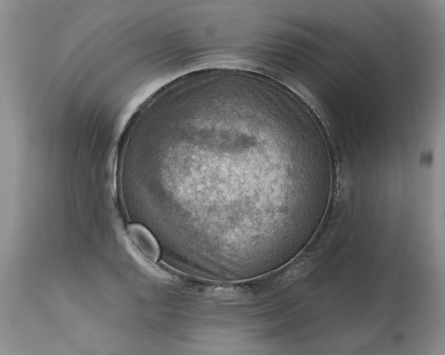 X0000113591128200910021710