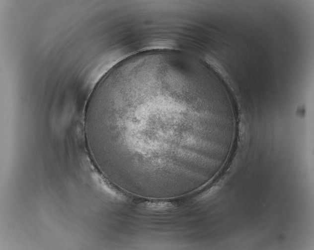 X0000113591129200910021710