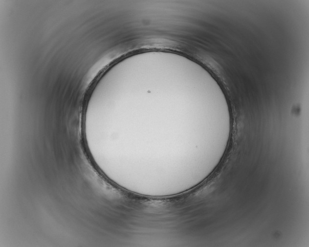 X0000113591130200910021710